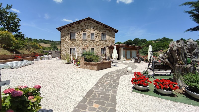 B&B Monticelli in Bertinoro, Italy