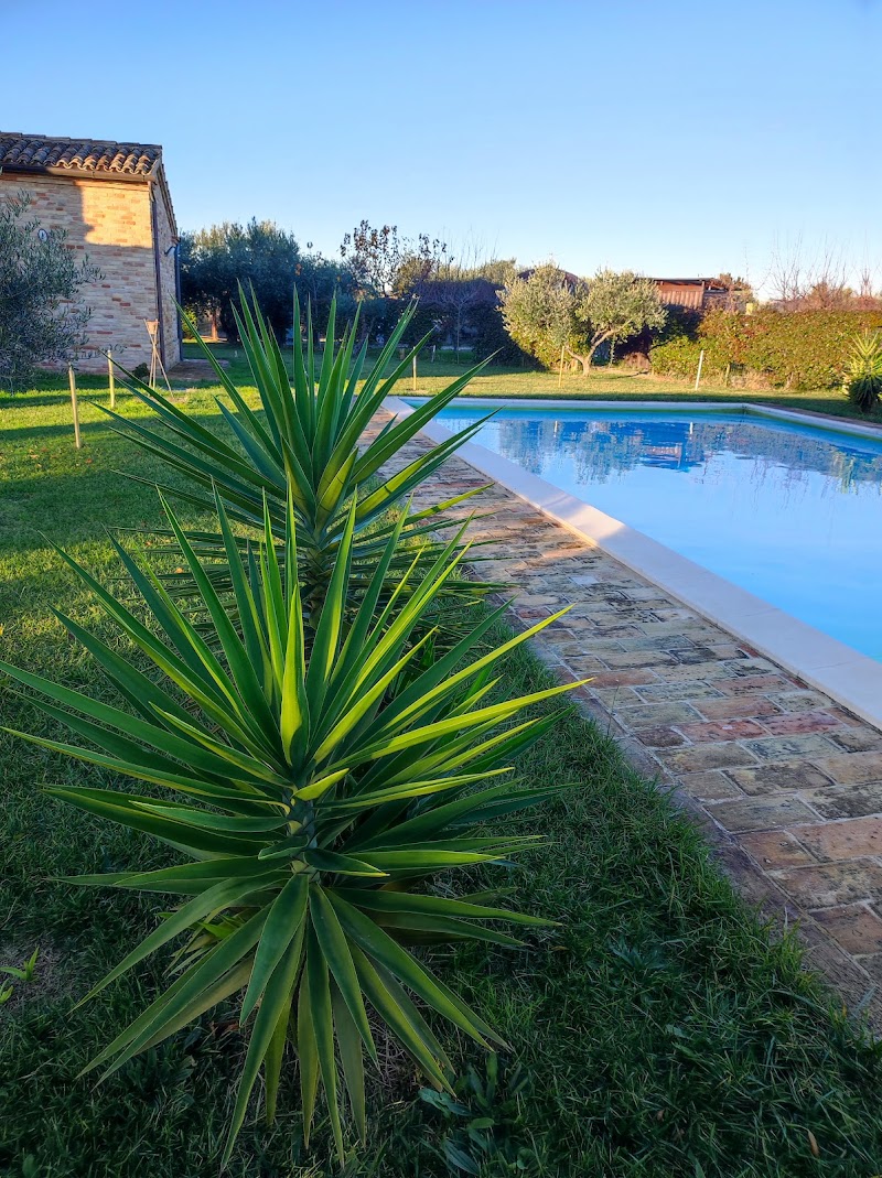 B&B Paradiso in Ancona, Italy