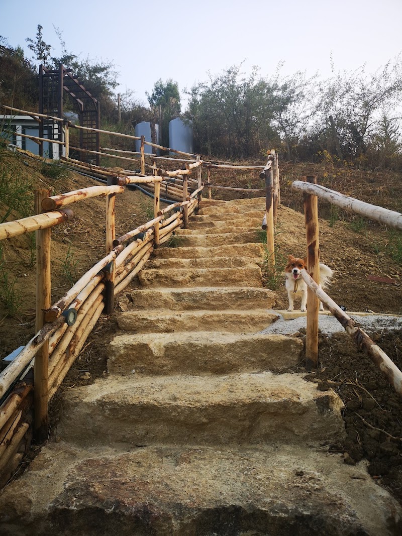 B&B Profumi di Sicilia in Caltanissetta, Italy