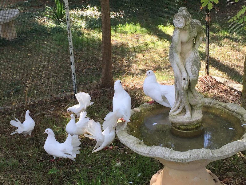 B&B Valle Verde in Altamura, Italy