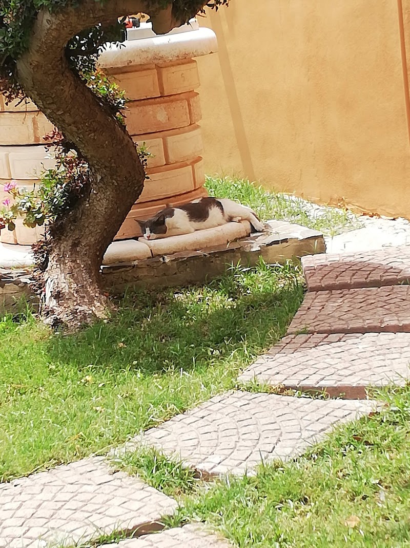 B&B West Coast in Cabras, Italy