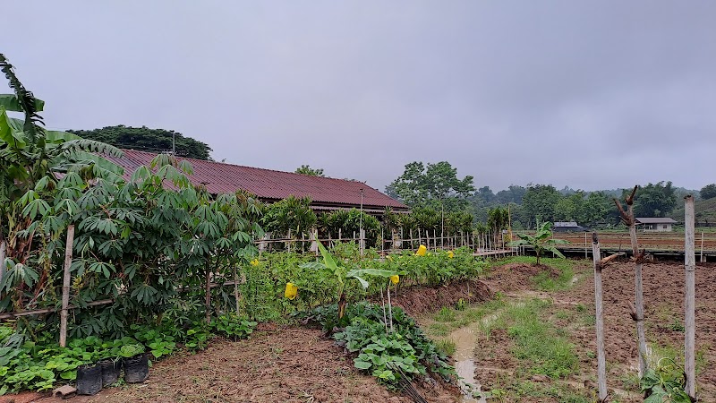 Ban Lom Jen Homestay in Ban Du, Thailand