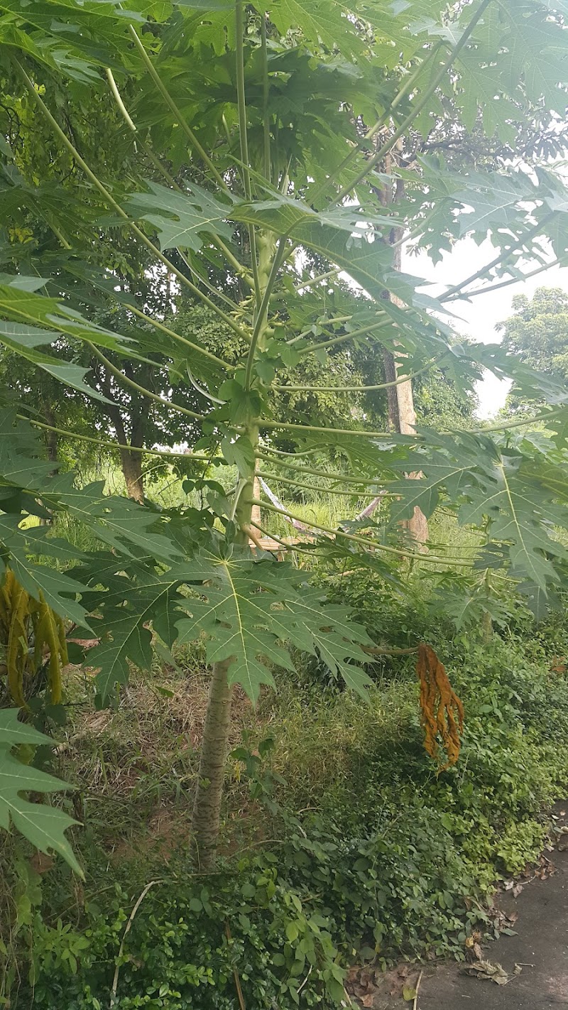 Bann Saen Sabai Resort in Aranyaprathet, Thailand