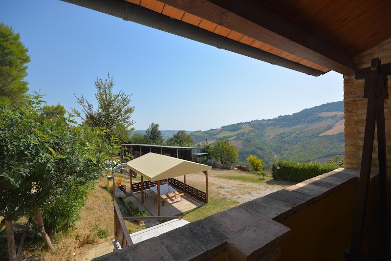 Bed & Breakfast Il Podere del Nonno Giovanni in Borgo San Lorenzo, Italy