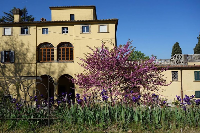 Bella di Ceciliano in Arezzo, Italy
