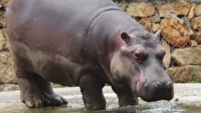 Biocasa in Carini, Italy