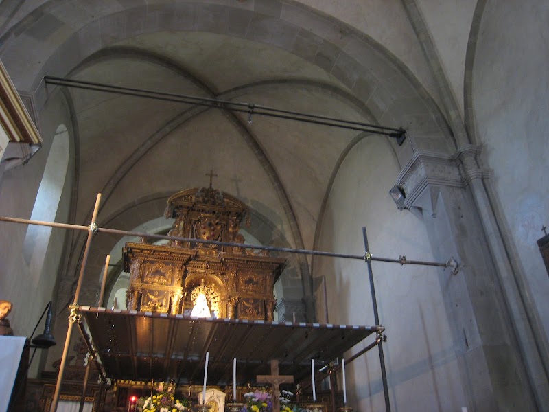 Bosco ai Frati in Barberino di Mugello, Italy