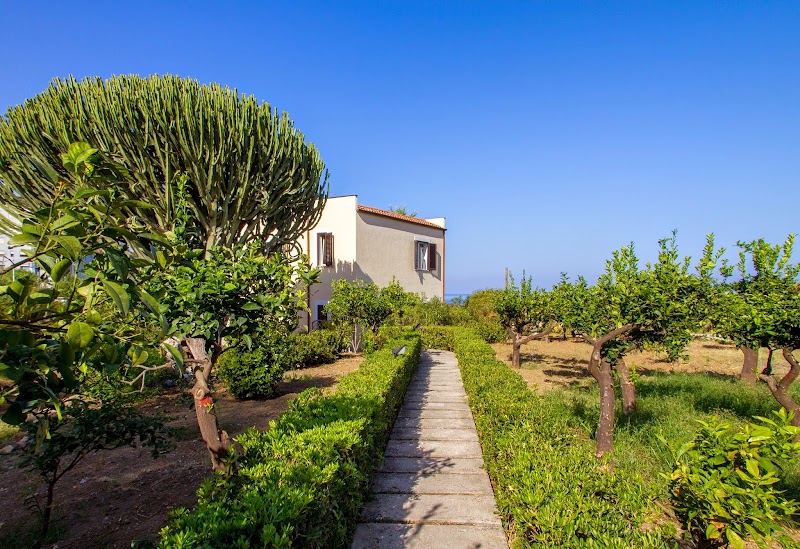 Bouganville in Cefalu, Italy