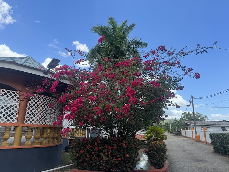 Bridge Palm Hotel in May Pen, Jamaica