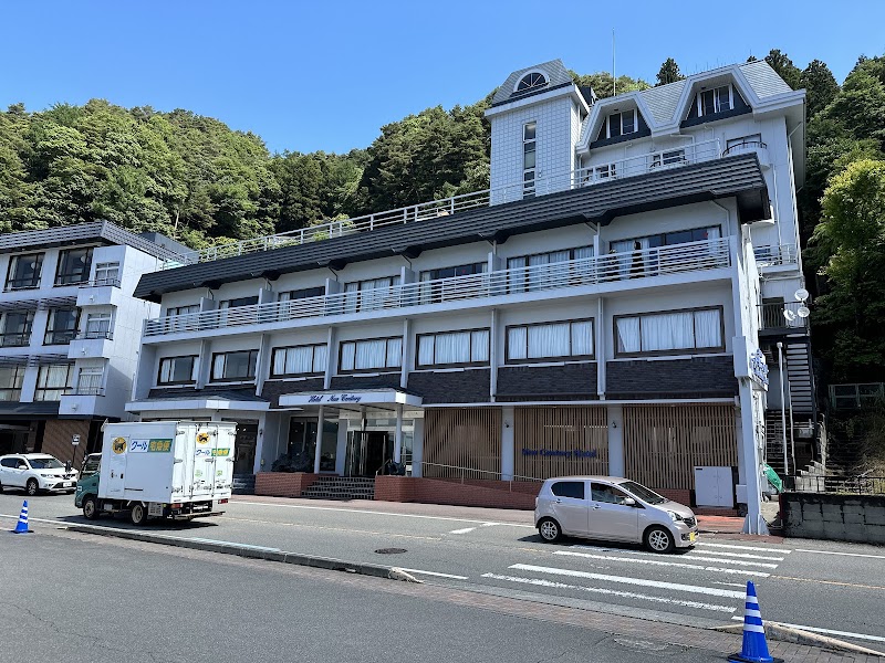 Business Hotel New Century in Anan, Japan