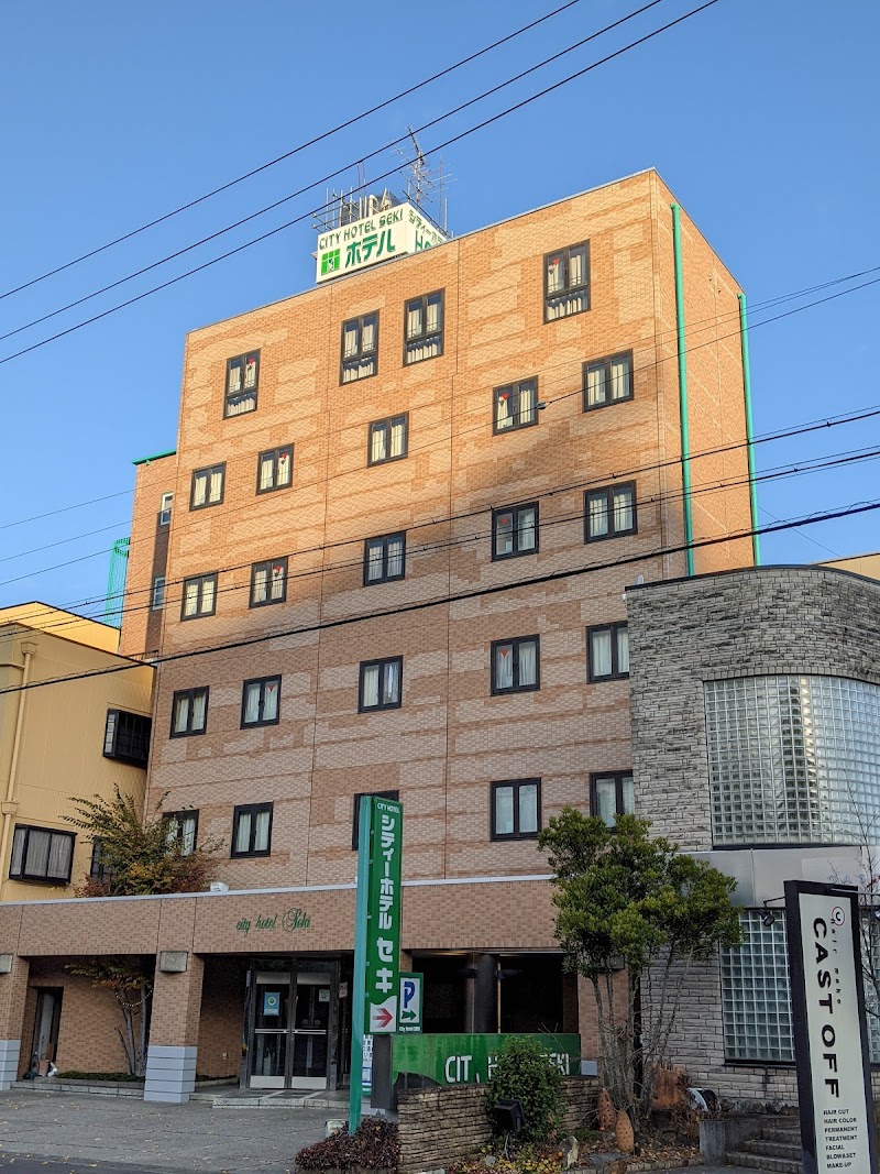 Business Hotel Seki in Soma, Japan