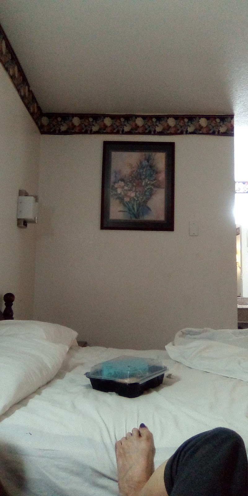 Camlot Inn in Big Spring, United States