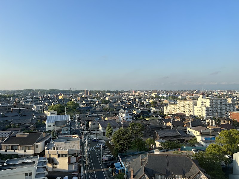 Candeo Hotels Handa in Chita, Japan
