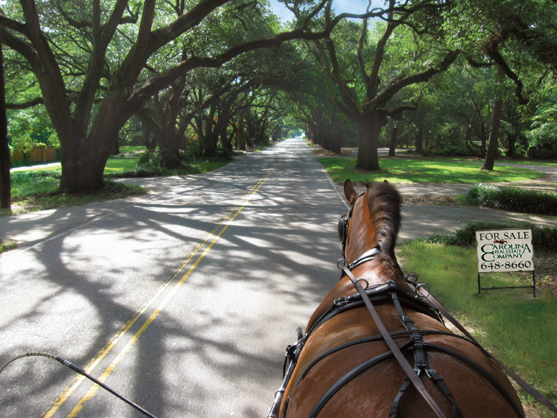 Carolina House in Aiken, United States