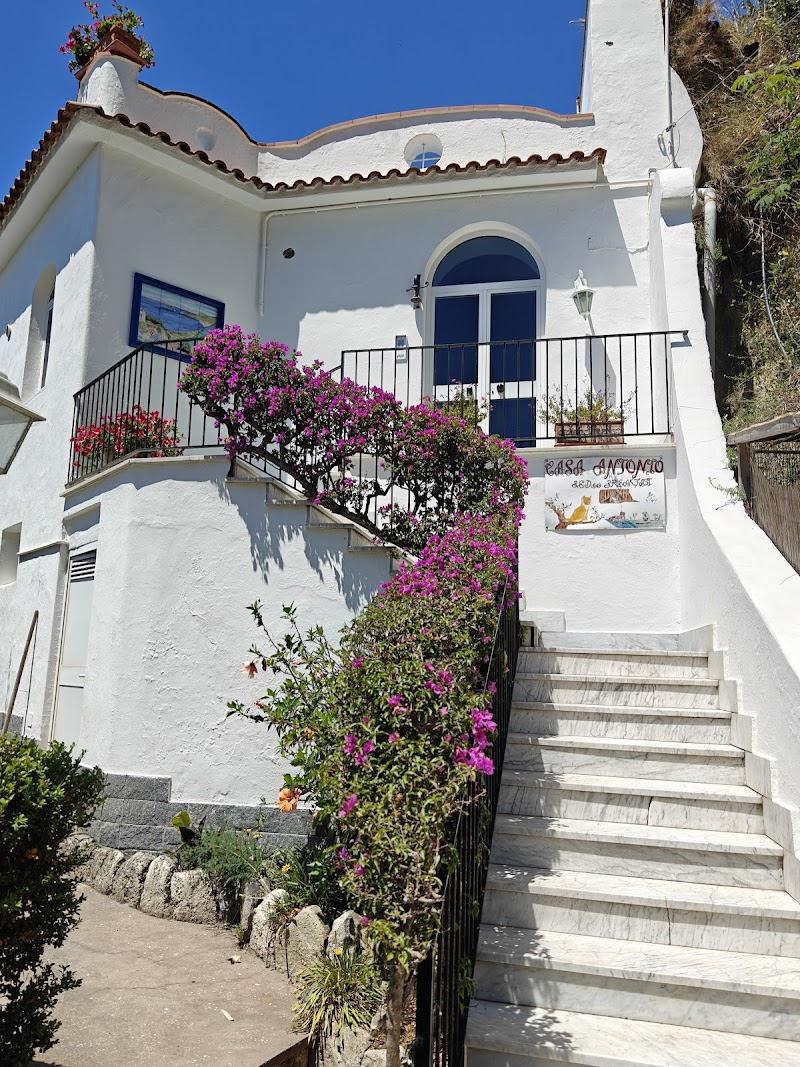 Casa Antonio in Barano d'Ischia, Italy