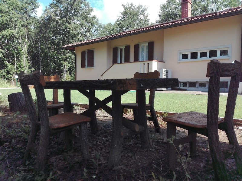 Casa Vacanze La Casa nel Bosco in Bucine, Italy