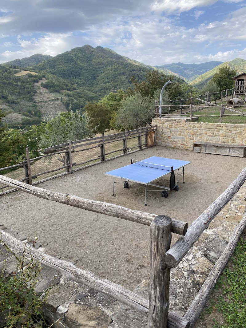 Casa Vacanze Podere Ugolini in Certaldo, Italy