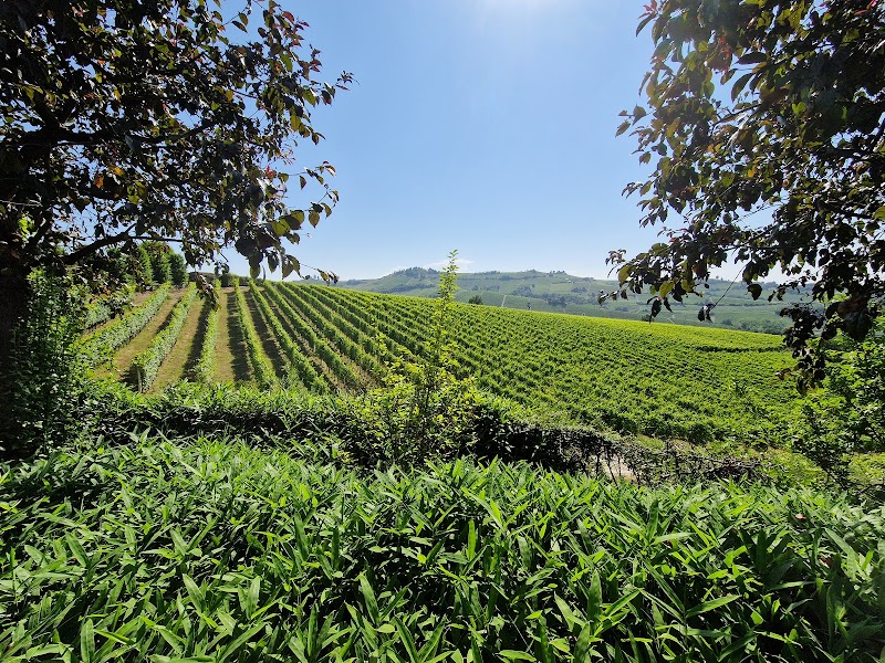 Cascina Baràc in Alba, Italy