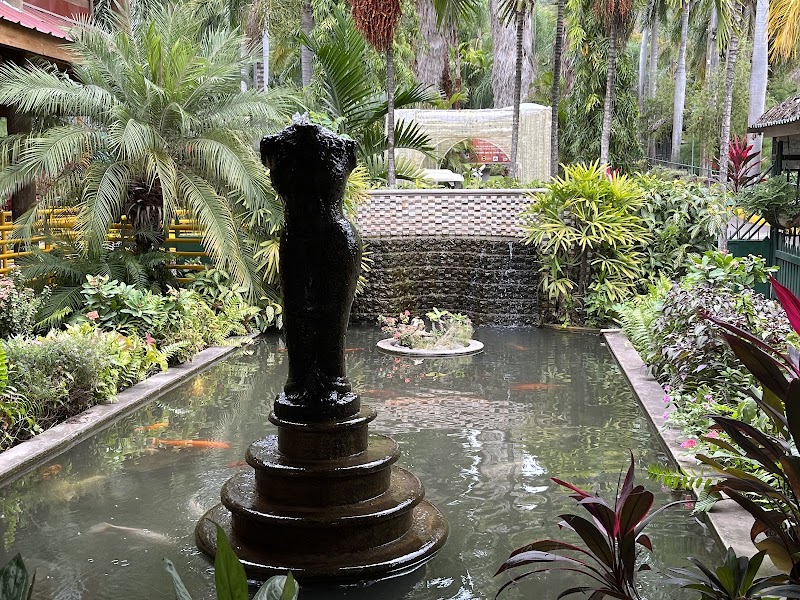 Choose To Be Happy in Kingston, Jamaica