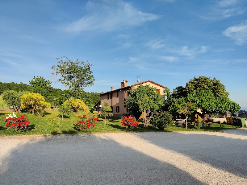 Collina dei Ciliegi in Cingoli, Italy