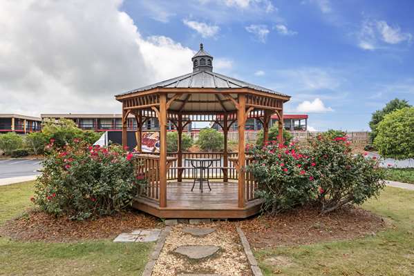 Comfort Inn Opelika - Auburn in Auburn, United States