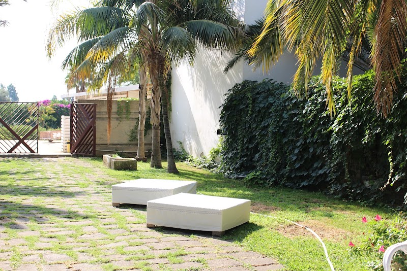 Cuore di Palme in Floridia, Italy