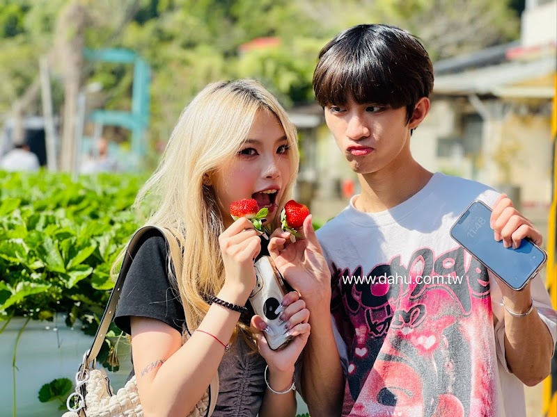 Dahu Strawberry Culture Leisure Area in Dahu, Taiwan