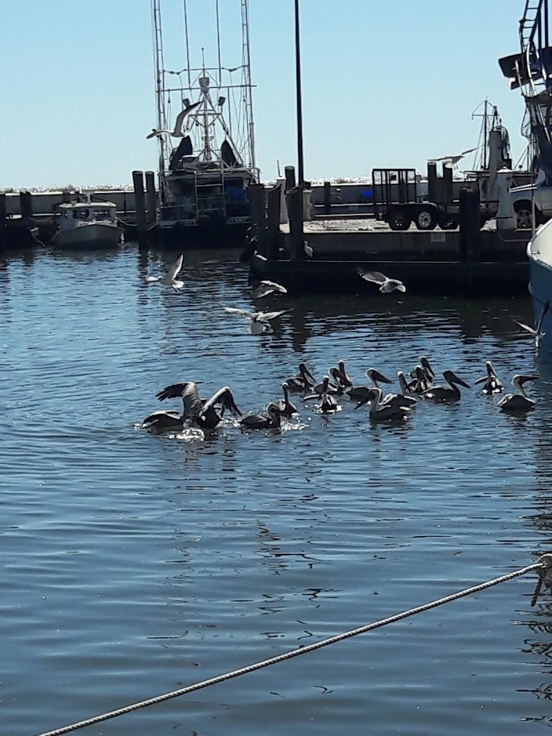 Econo Lodge Biloxi Beach North in Biloxi, United States