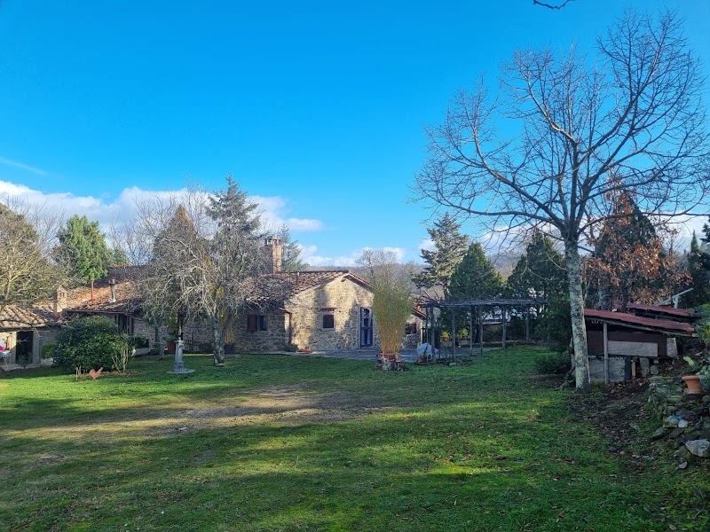 Fattoria La Scheggia in Civitella in Val di Chiana, Italy