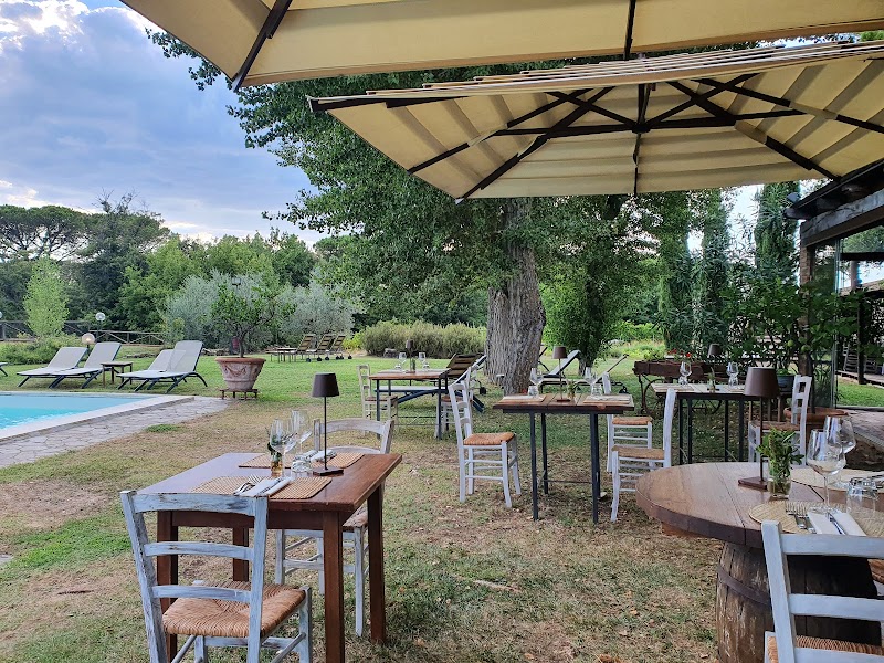 Fattoria di Corsignano in Castelnuovo Berardenga, Italy