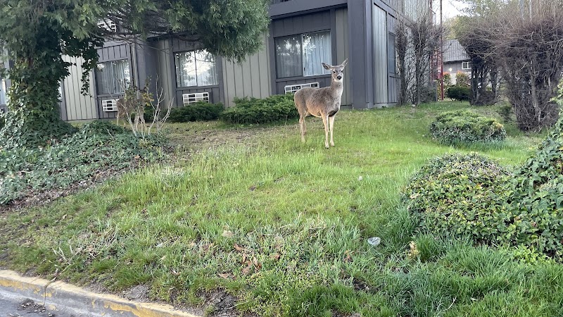 Flagship Inn in Ashland, United States
