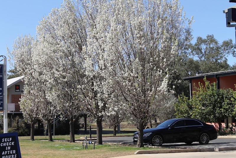 Forbes Victoria Inn in Forbes, Australia