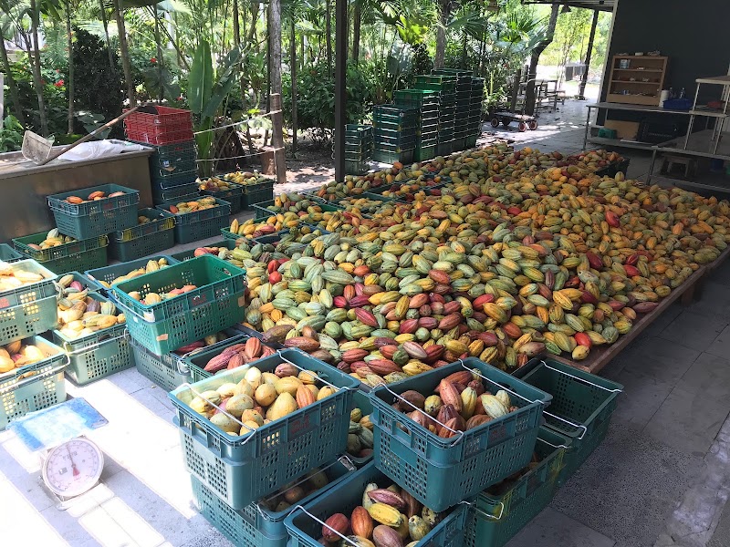 Fu Wan Cafe Villa in Donggang, Taiwan