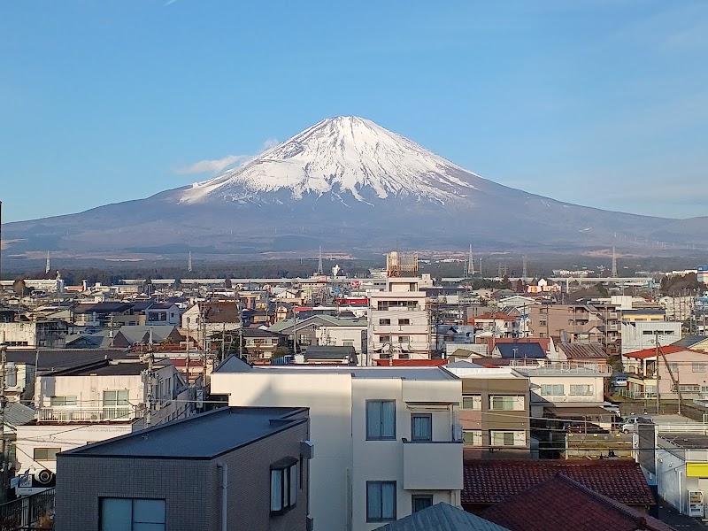 Fuji Subashiri Condominium Tannpopo in Fujiyoshida, Japan