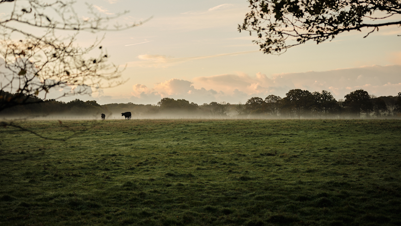 Green Farm Spa & Retreat in Ashford, Kingsnorth, United Kingdom, United Kingdom
