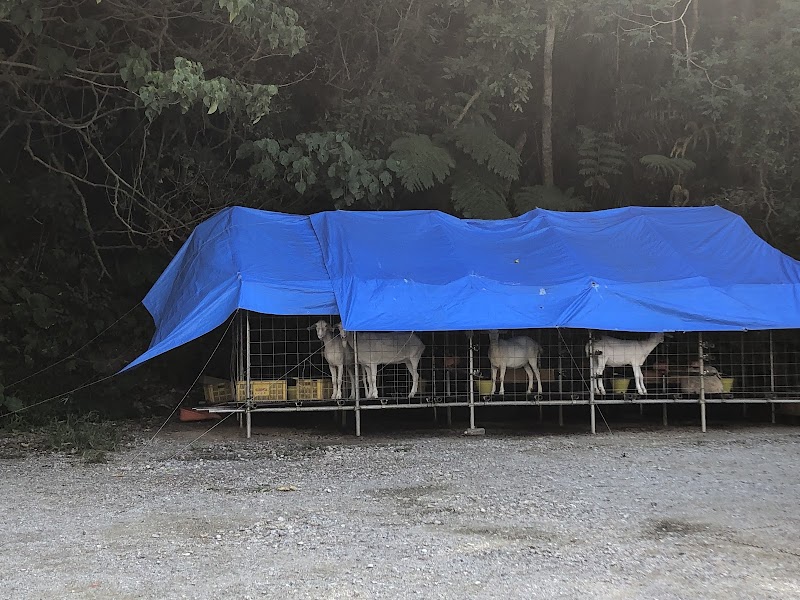 Guest House Amakara Okinawa in Nago, Japan