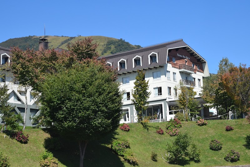 Hakuba Alps Hotel in Hakubacho, Japan