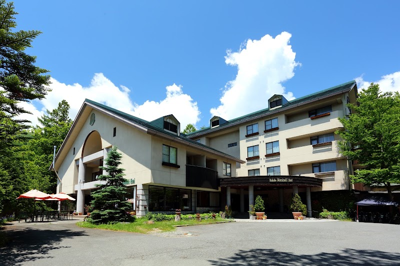 Hakuba Mominoki Hotel in Hakubacho, Japan