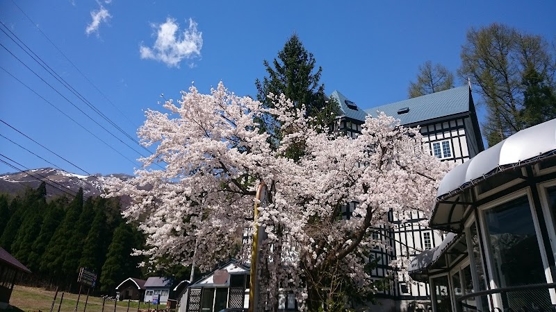 Hakuba Sun Valley Hotel in Hakubacho, Japan