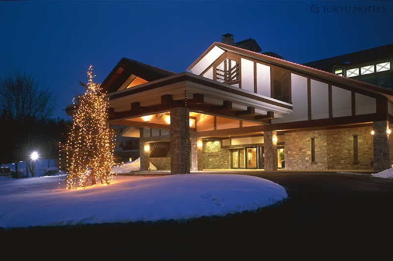 Hakuba Tokyu Hotel in Hakubacho, Japan