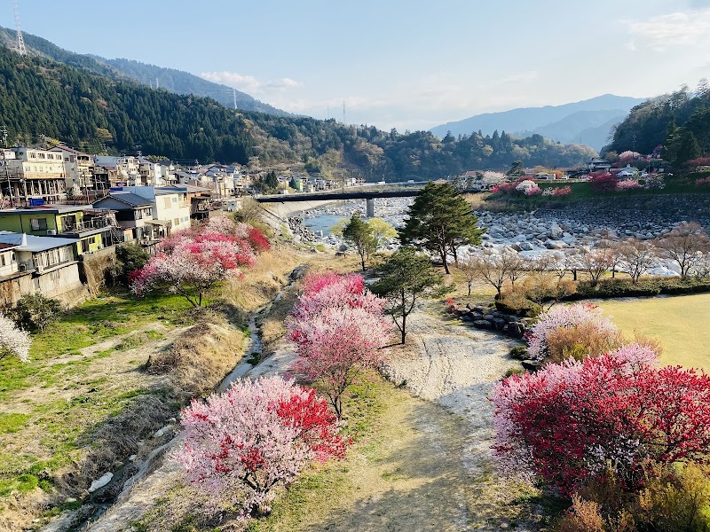 Hanaya Ryokan in Yurihama, Japan