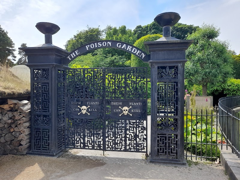 Holly Trees in Alnwick, United Kingdom