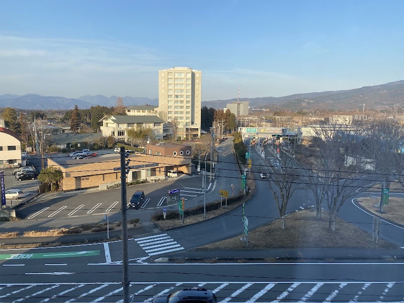 Hotel Alpha Gotenba in Gotenba, Japan