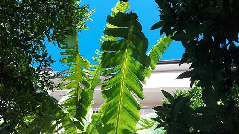 Hotel Baia Blu in Alassio, Italy