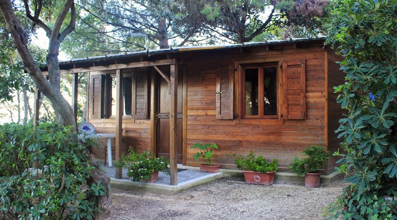 Hotel Belvedere in Civitanova Marche, Italy