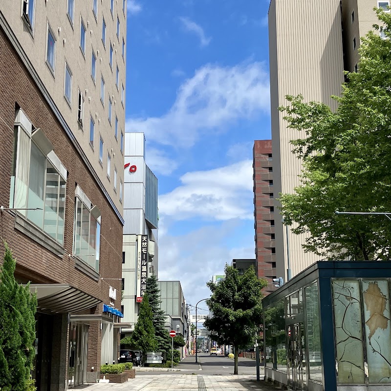 Hotel Boston in Obihiro, Japan
