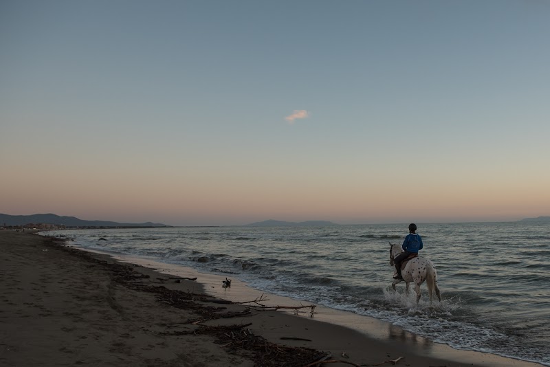Hotel Cavallo Nero in Grosseto, Italy
