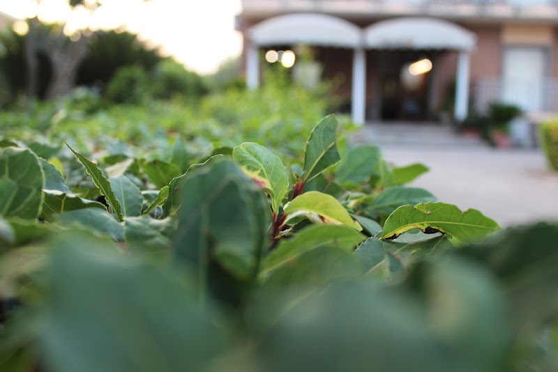 Hotel Diana in Cassino, Italy