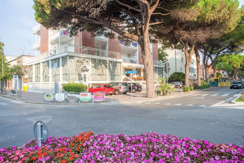 Hotel Esperia in Cesenatico, Italy