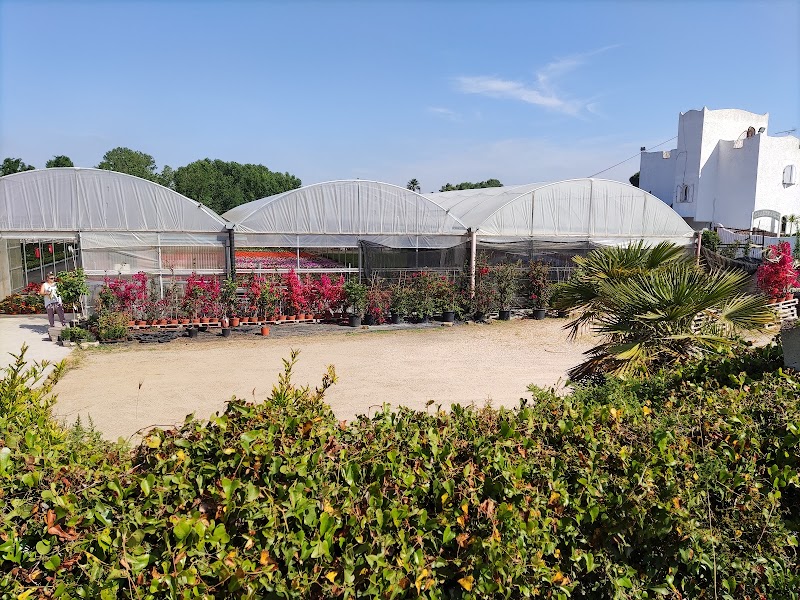 Hotel Fiordaliso in Latina, Italy